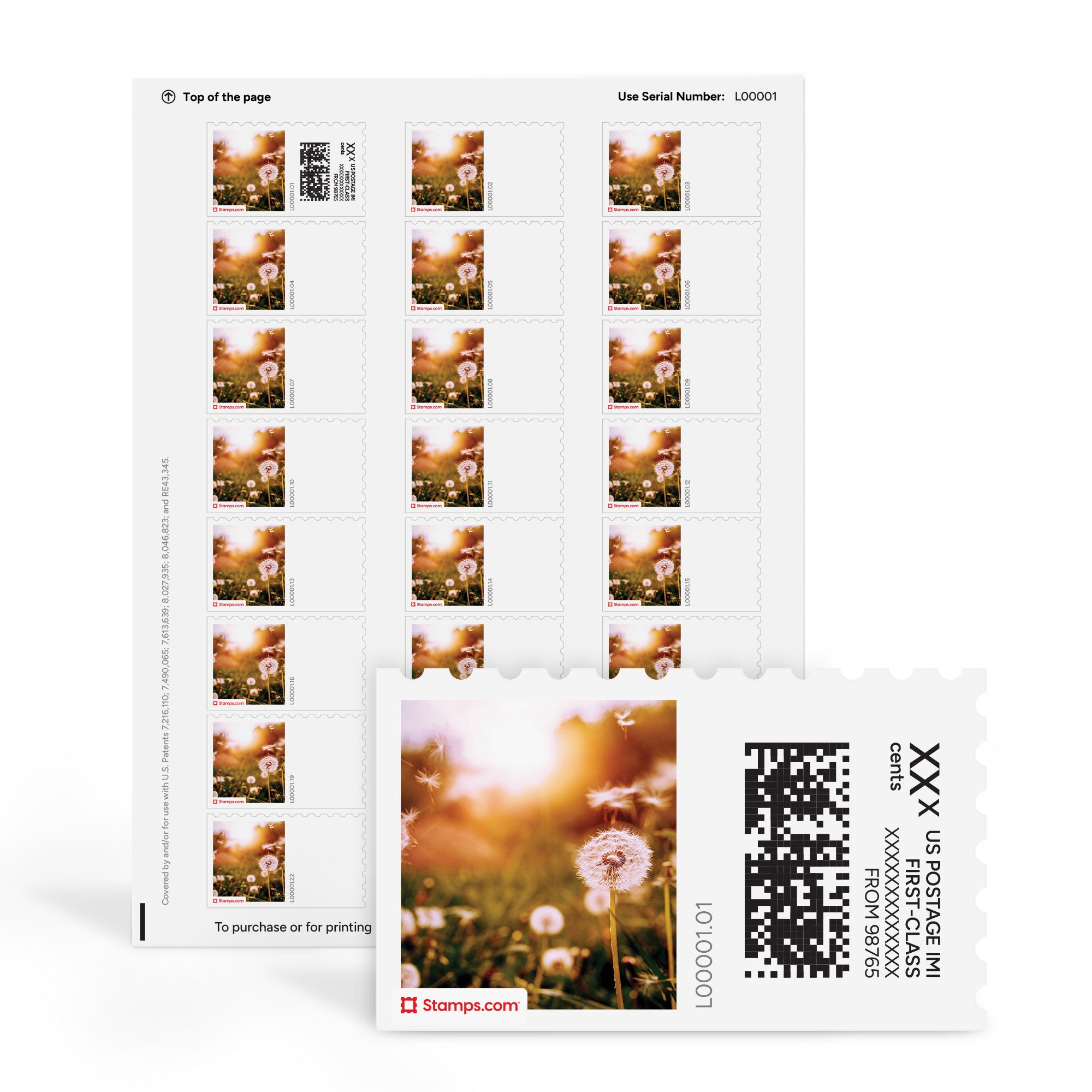 Dandelion Wishes NetStamps Sheets
