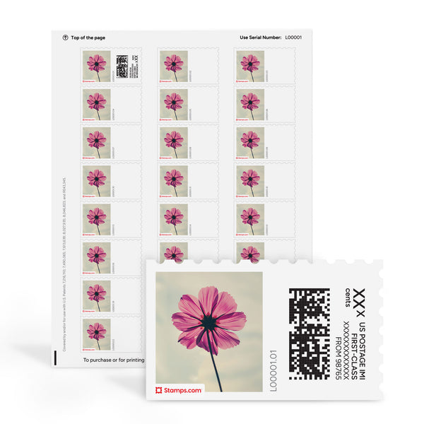 Pink Cosmos NetStamps Sheets