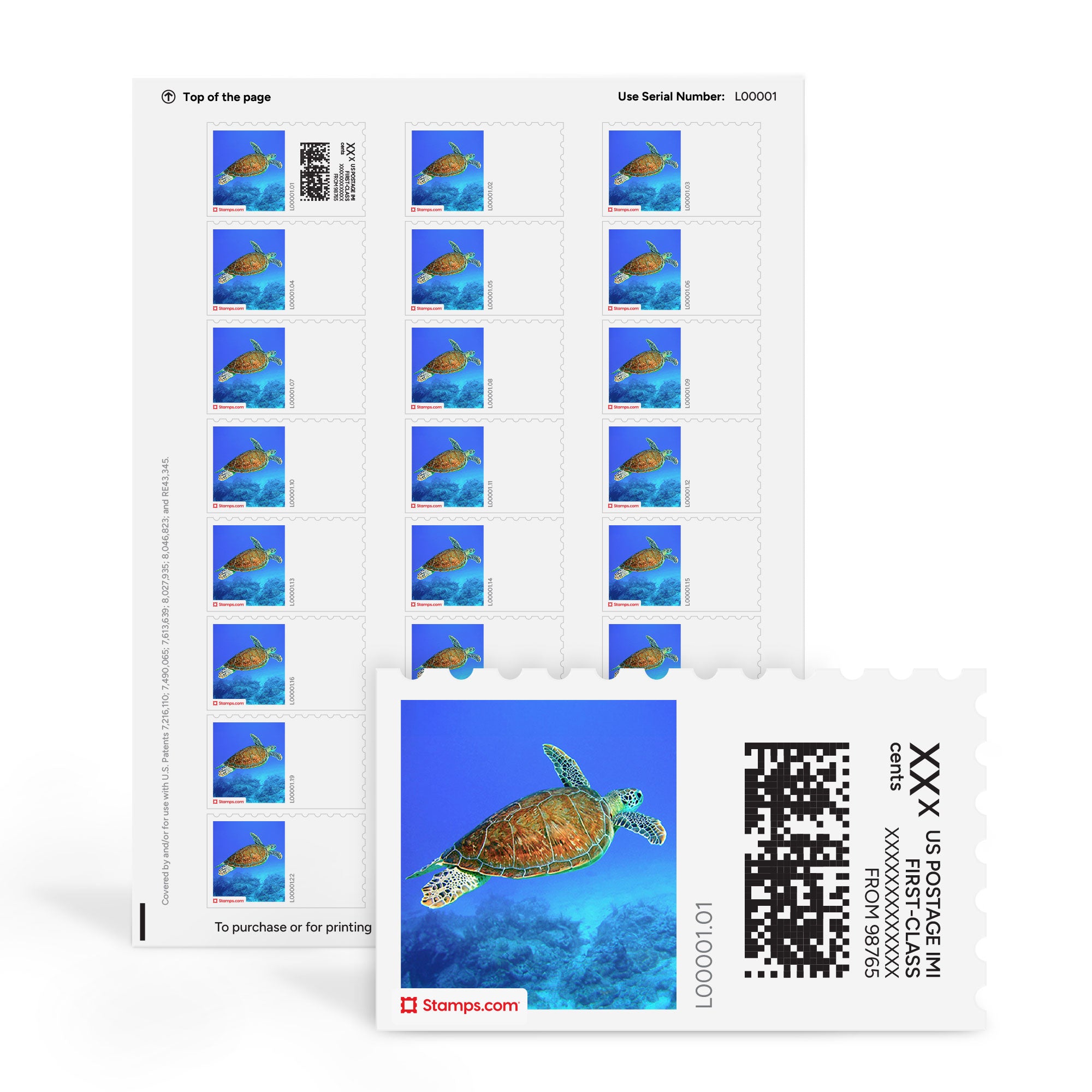 Hawksbill Turtle NetStamps Sheets