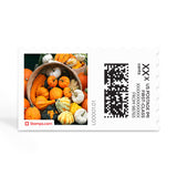 Pumpkins Galore NetStamps Sheets