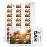 Themed NetStamps® Sheets