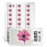 Themed NetStamps® Sheets