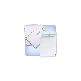 White Clasp Catalog Envelopes